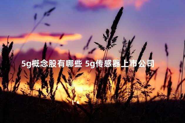 5g概念股有哪些 5g传感器上市公司龙头